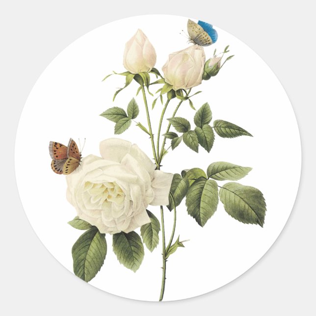 Buquê de rosas brancas com adesivo de borboletas (Frente)