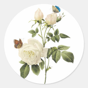 Buquê dos rosas brancos com etiqueta das