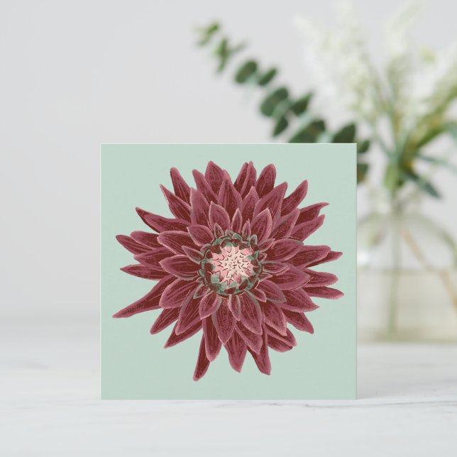 Burgunder-Dahlie (Em pé/Frente)