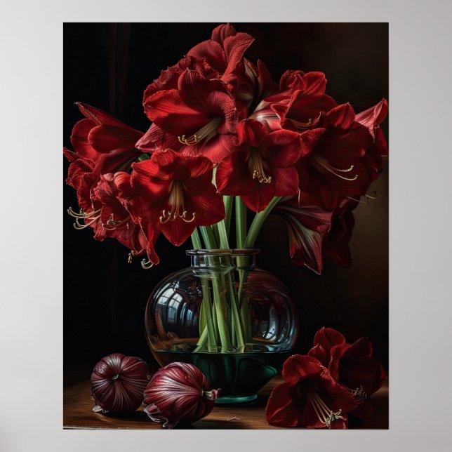 Burgundy Amaryllis Flores Impressão (Frente)