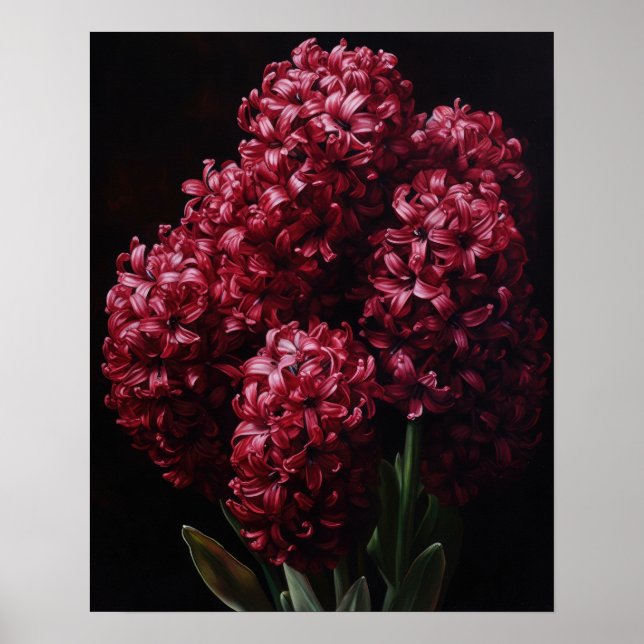 Burgundy Hyacinth Flowers Art Impressão Poster (Frente)