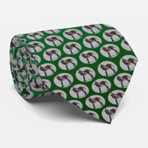 Burro Frenesi Gravata (Verde Claro/Escuro)