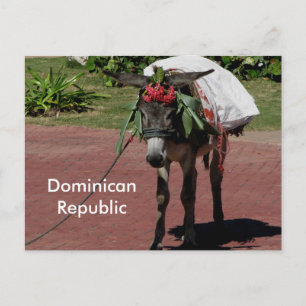 burro na República Dominicana num cartão postal