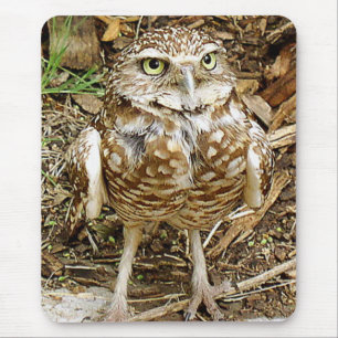 Burrowing a coruja Mousepad