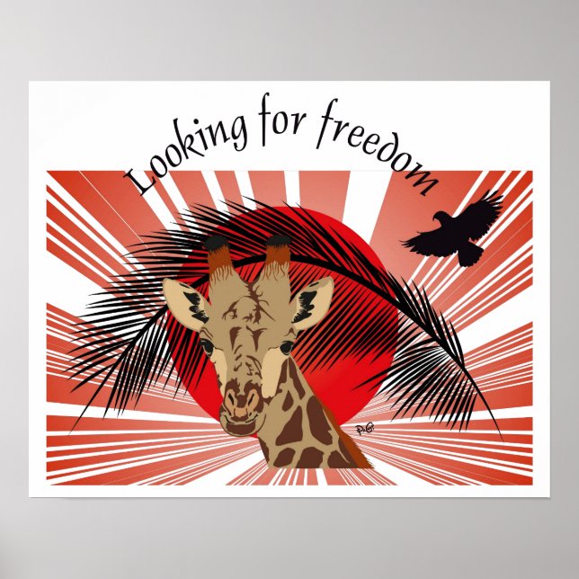 Buscando a liberdade de Poster (Frente)