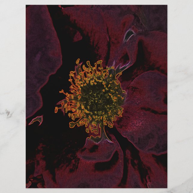 Bush Rosa Neon (Frente)