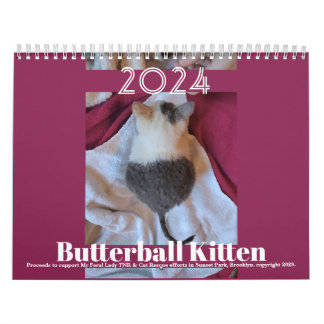 Butterball Kitten: Calendário 2024