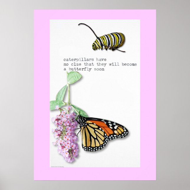 Butterfly Haiku poster (Frente)