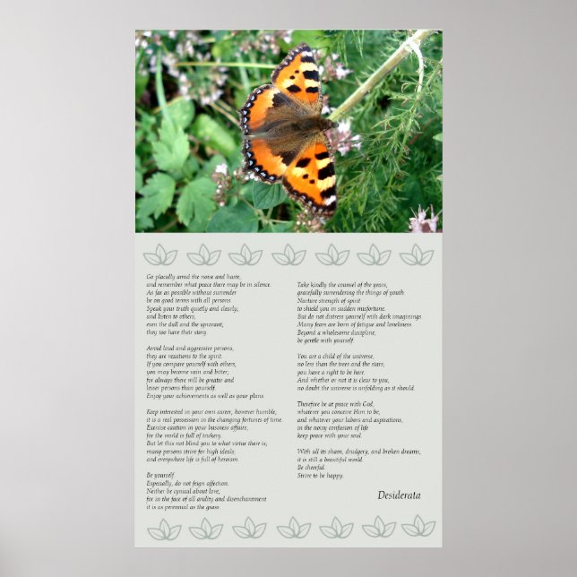 Butterfly Motivational Desiderata Poster (Frente)