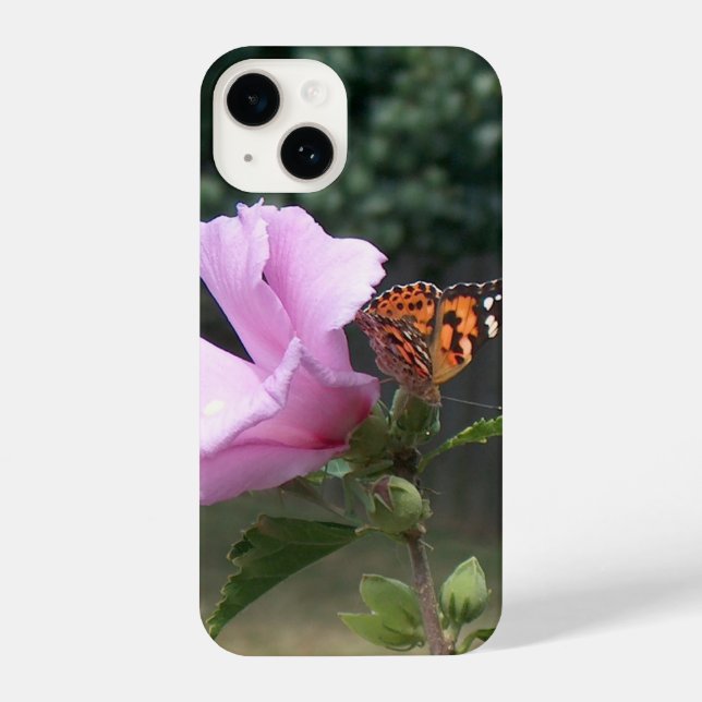 Butterfly on Rose of Sharon iPhone Case (Verso)