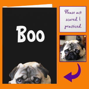 Buu! Cartão de Halloween do Pug Espevitado