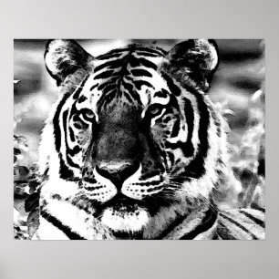 BW Tiger Poster Print Pop Art Style Tigers Posters