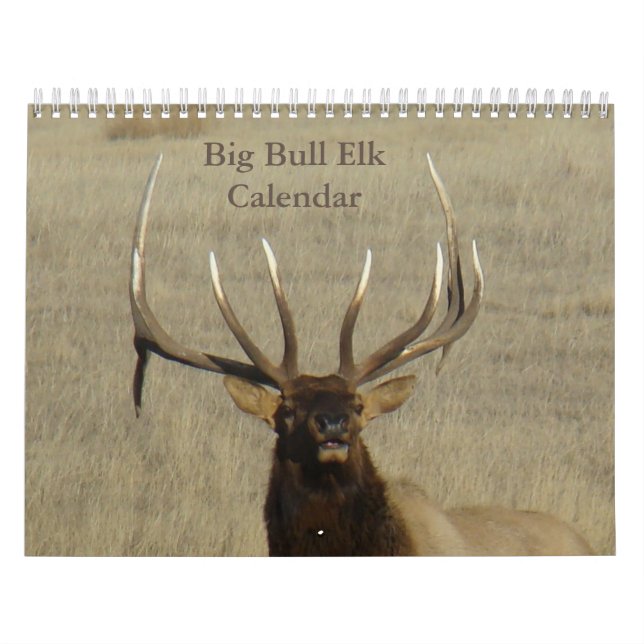 C9 Calendário Grande do Elk Bull (Capa)