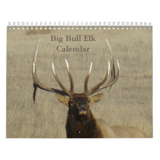 C9 Calendário Grande do Elk Bull