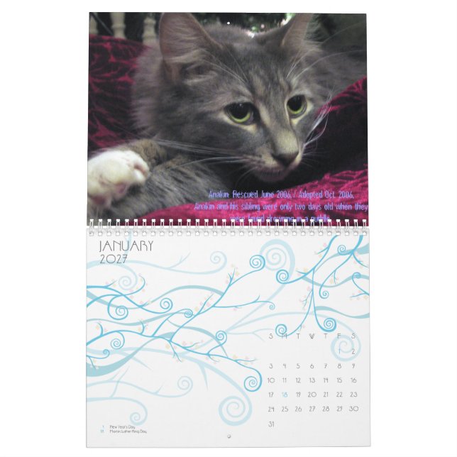 C.A.T.S. Calendário 2009 (Jan 2027)