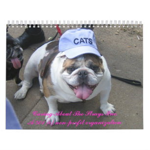 C.A.T.S. Calendário 2009