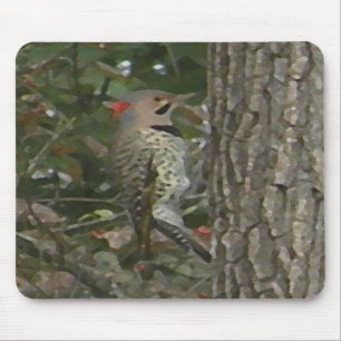 C.C. pássaro Mousepad do pica-pau da cintilação