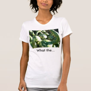 Cabaças engraçadas com o t-shirt engraçado das