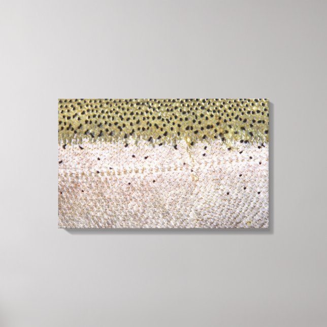 Cabeça de aço na Canvas (Frente)