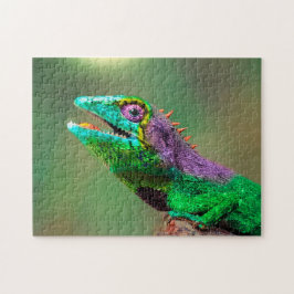 Cabeça de Chameleon Fechada, Quebra-cabeça de Jigs