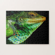 Cabeça de Chameleon Fechada, Quebra-cabeça de Jigs