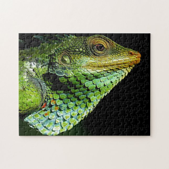 Cabeça de Chameleon Fechada, Quebra-cabeça de Jigs (Horizontal)