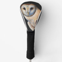 Cabeça de Golfe, Cobrir Barn Owl