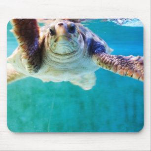 Cabeça de Loggerhead 4 Mousepad