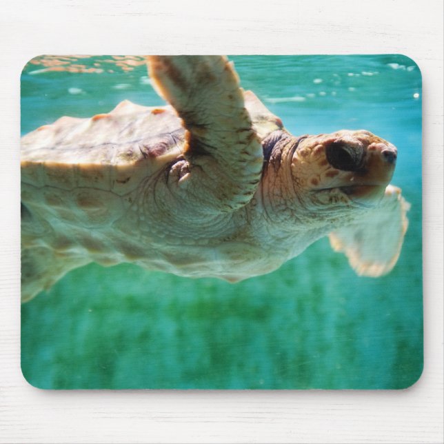 Cabeça de Loggerhead nº 1 Mousepad (Frente)
