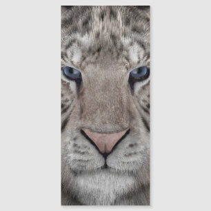 cabeça_de_tigre_branco