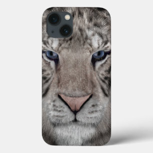 Cabeça de Tigre Branco Estética da Vida Selvagem