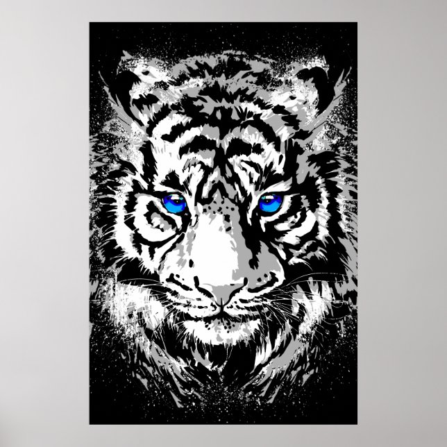 Cabeça de Tigre Branco Siberiano - Poster de Tigre (Frente)