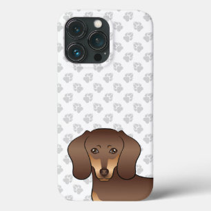 Cabeça e patas de cachorro Dachshund marrom e bege