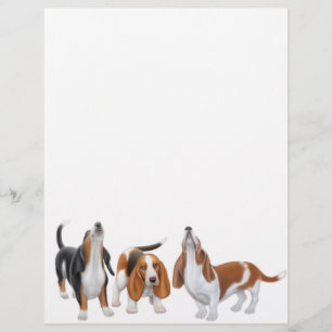 Cabeçalho do trio do Basset