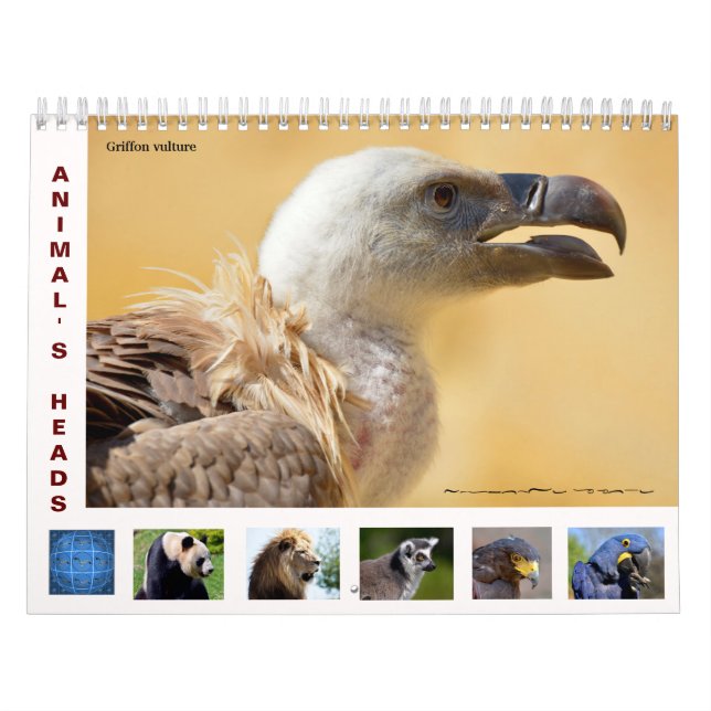 Cabeças de animais: calendário de 12 meses (Capa)