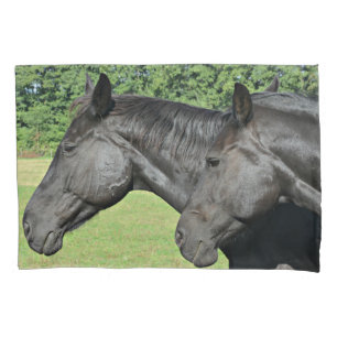 Cabeças de Cavalo Preto em Luz de Perfil Pacífico