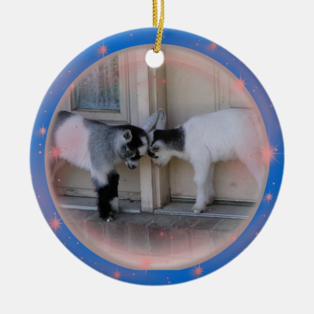 CABEÇAS DO BUMBUM - ENFEITES DE NATAL DAS CABRAS (Frente)