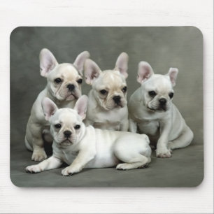 Cabelo Mousepad De Cachorro Francês