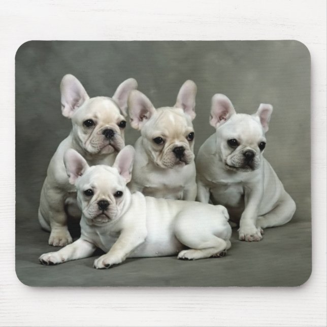 Cabelo Mousepad De Cachorro Francês (Frente)