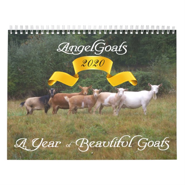 Cabra Calendário Lindos Caprinos AngelGoats (Capa)