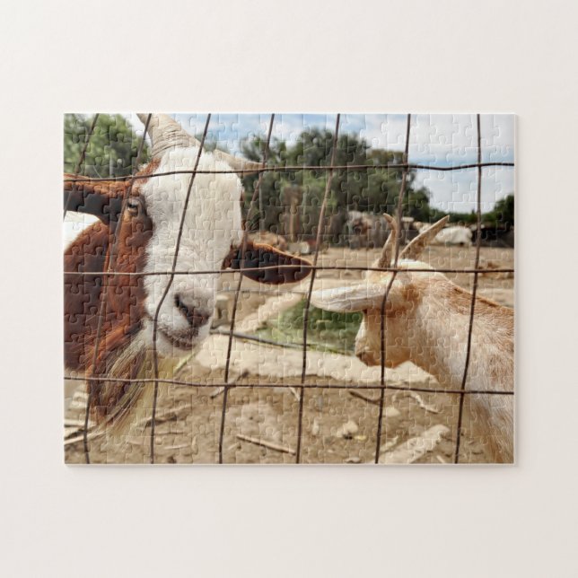 Cabra curiosa - quebra-cabeça (Horizontal)