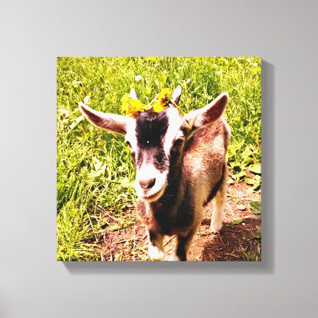 Cabra de bebê com flores - Impressão de Canvas (Frente)