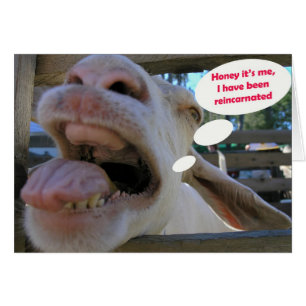 Cabra do Haw de Yee - cartões