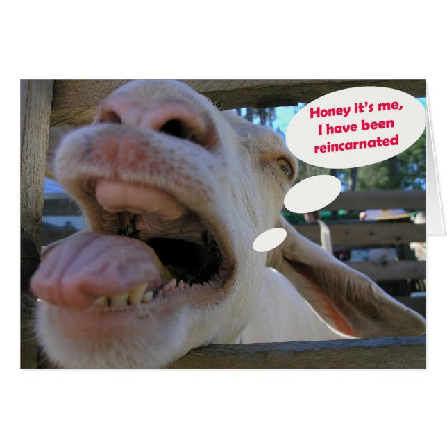 Cabra do Haw de Yee - cartões (Frente Horizontal)