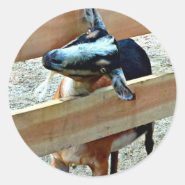 Cabra engraçada - folha das etiquetas