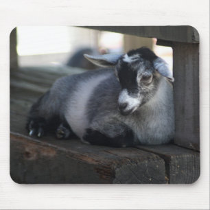 Cabra Mousepad