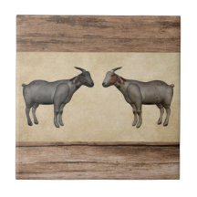 Cabras russas e Azulejo cerâmico de madeira