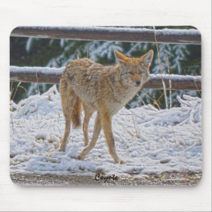 Caça a Coyote na Neve #Gift Mousepad