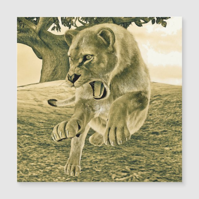 Caça à ionidade (Frente)