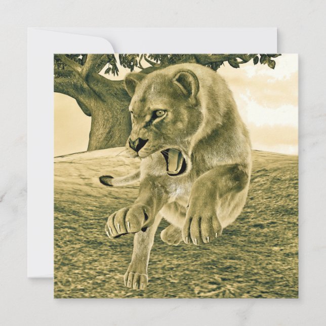 Caça à ionidade (Frente)